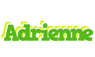 Adrienne picnic logo