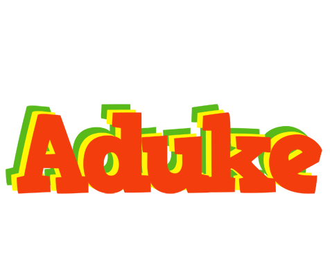 Aduke bbq logo