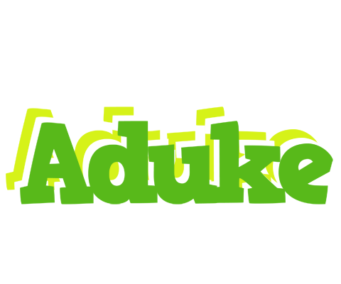 Aduke picnic logo