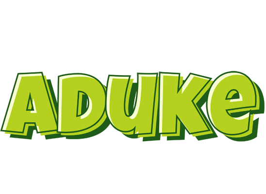 Aduke summer logo