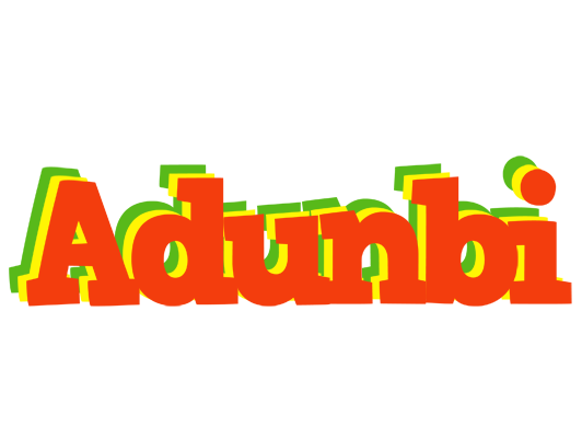 Adunbi bbq logo