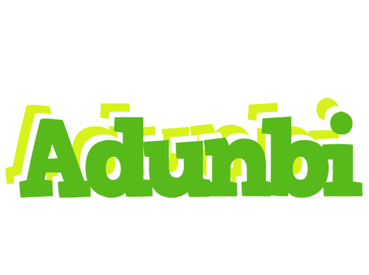 Adunbi picnic logo