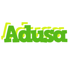 Adusa picnic logo