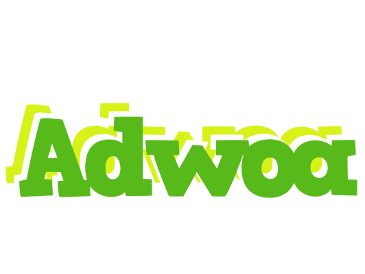 Adwoa picnic logo