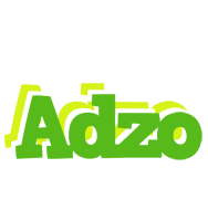 Adzo picnic logo