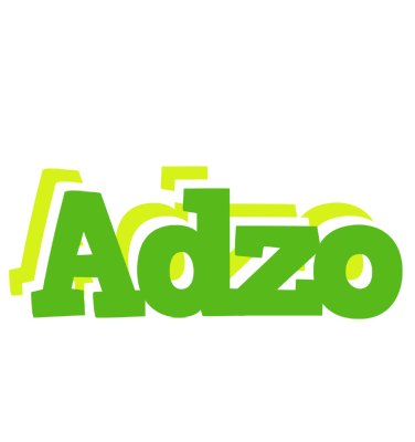 Adzo picnic logo