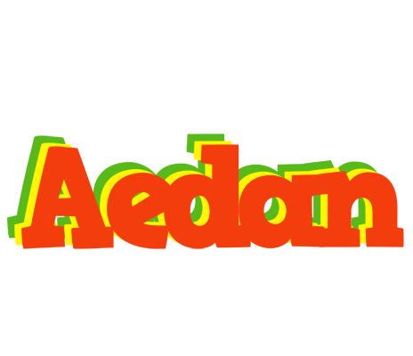 Aedan bbq logo