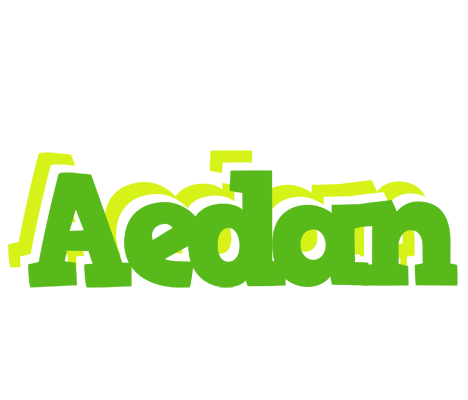 Aedan picnic logo