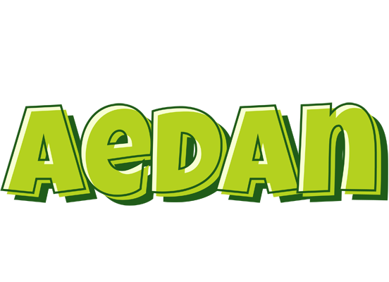 Aedan summer logo