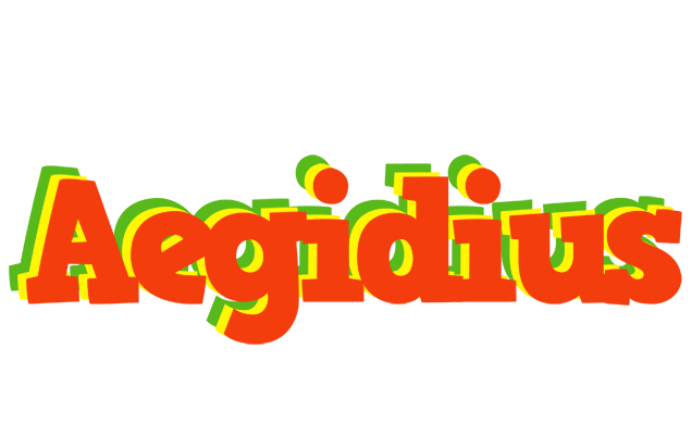 Aegidius bbq logo