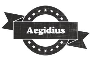 Aegidius grunge logo