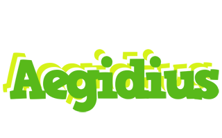 Aegidius picnic logo