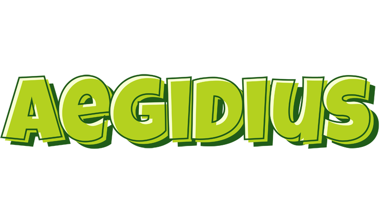 Aegidius summer logo