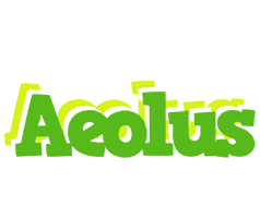 Aeolus picnic logo