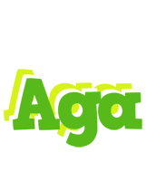 Aga picnic logo