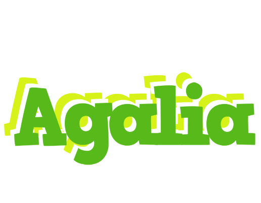Agalia picnic logo