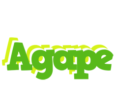 Agape picnic logo