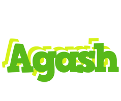 Agash picnic logo