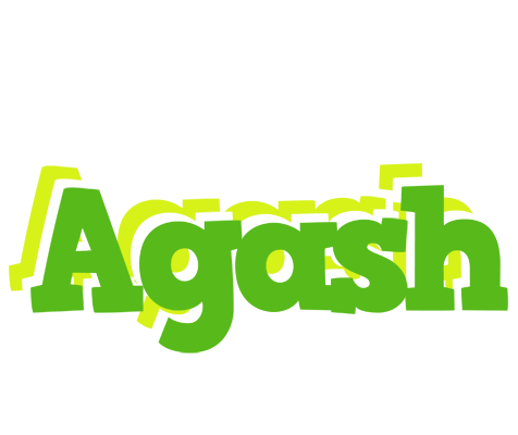 Agash picnic logo