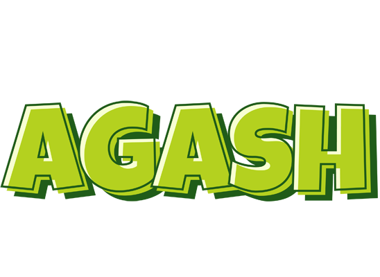 Agash summer logo