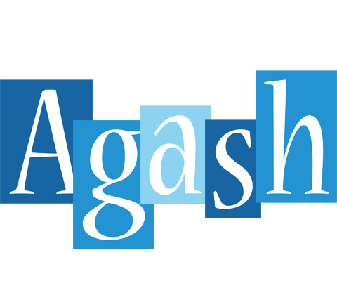 Agash winter logo