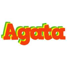 Agata bbq logo