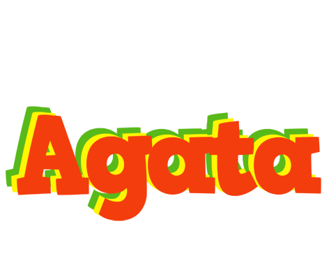 Agata bbq logo