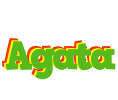 Agata crocodile logo