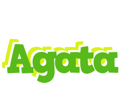 Agata picnic logo