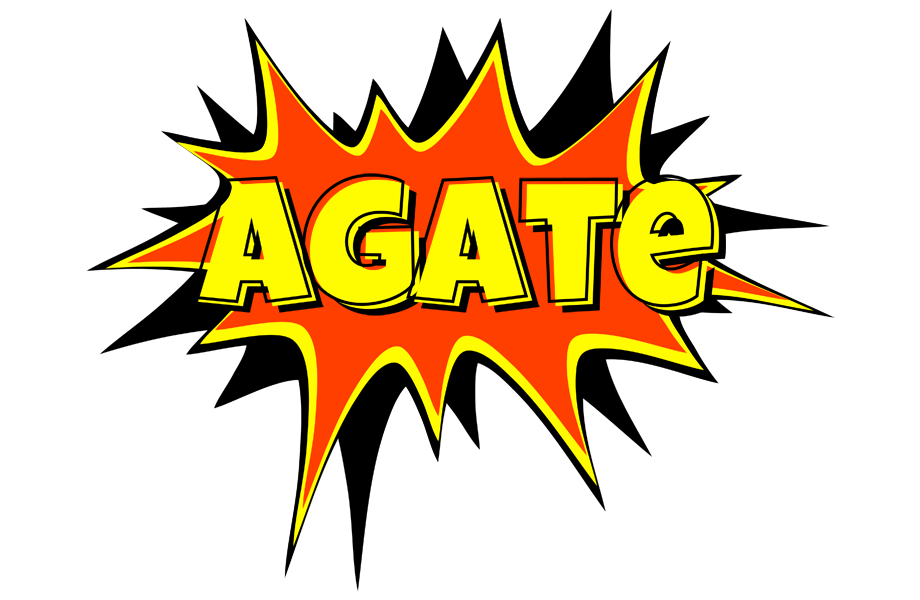 Agate bazinga logo
