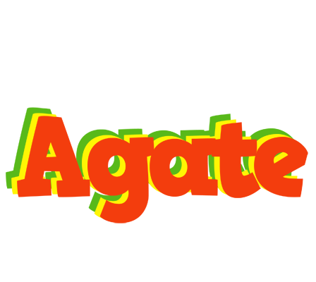 Agate bbq logo