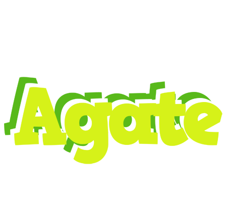 Agate citrus logo