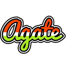 Agate exotic logo