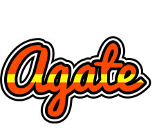 Agate madrid logo