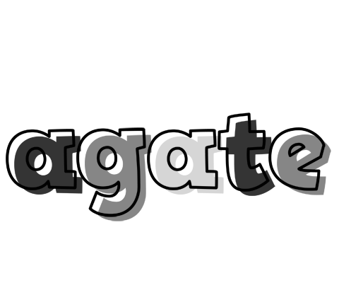 Agate night logo