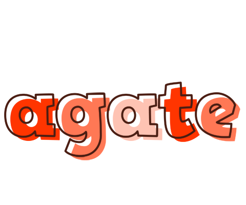 Agate paint logo