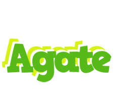 Agate picnic logo