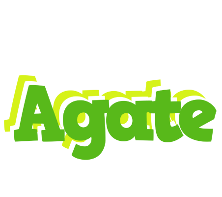 Agate picnic logo