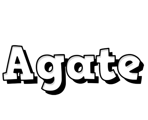 Agate snowing logo