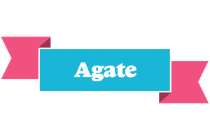 Agate today logo