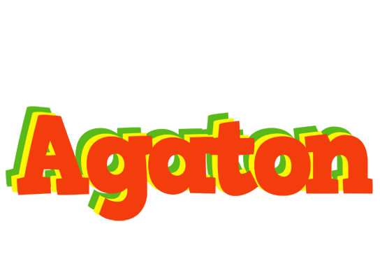 Agaton bbq logo