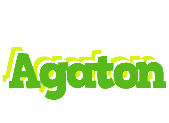 Agaton picnic logo
