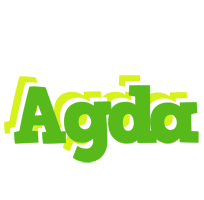 Agda picnic logo