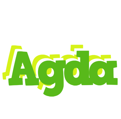 Agda picnic logo