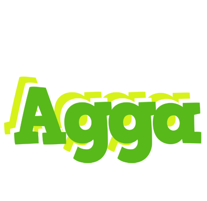 Agga picnic logo