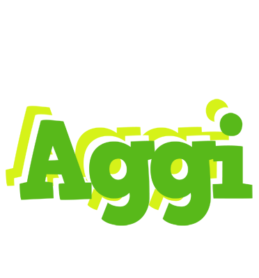 Aggi picnic logo