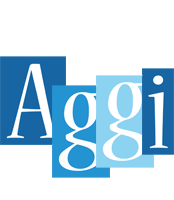 Aggi winter logo