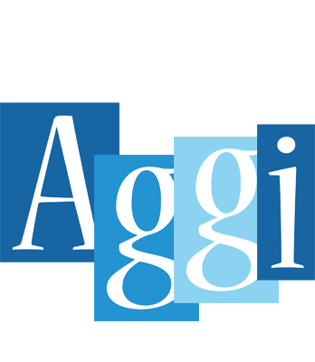 Aggi winter logo