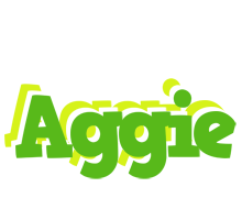 Aggie picnic logo