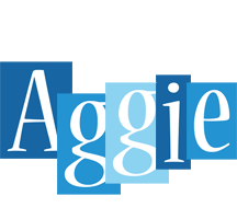 Aggie winter logo